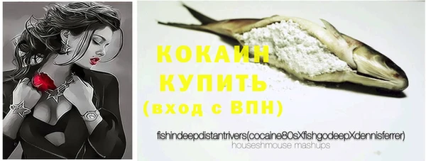 стаф Ступино