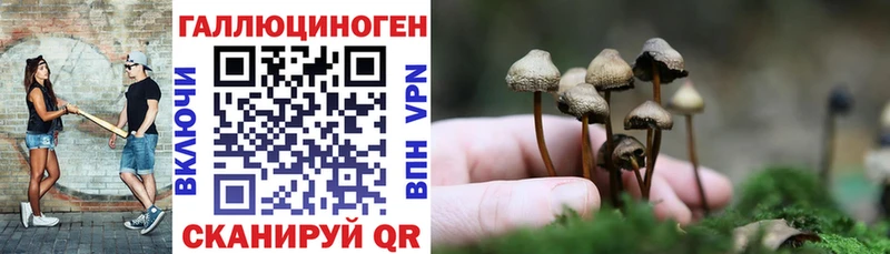 Галлюциногенные грибы GOLDEN TEACHER  маркетплейс клад  Тула  наркотики 
