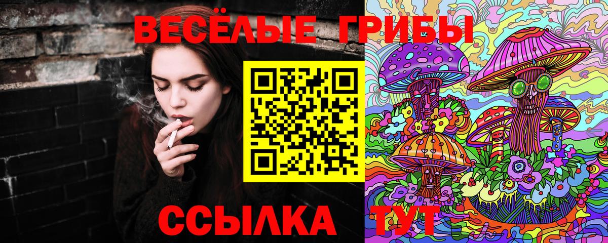 Псилоцибиновые грибы Psilocybine cubensis Тула
