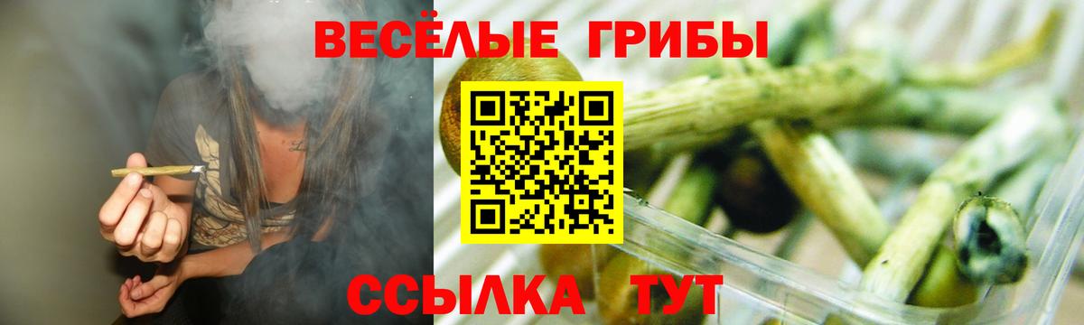 Галлюциногенные грибы ЛСД  Вход с VPN  Тула 